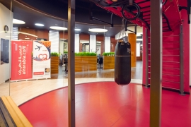 Մեծ մարզադահլիճ
